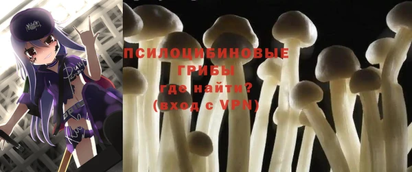 герыч Верхний Тагил