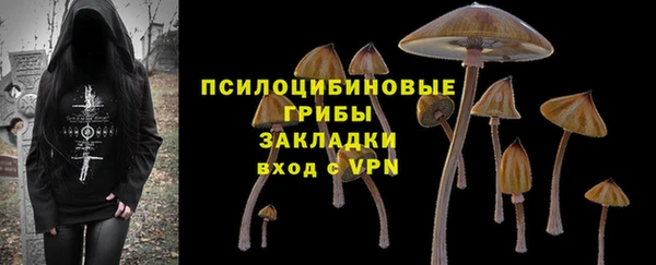 дживик Верея
