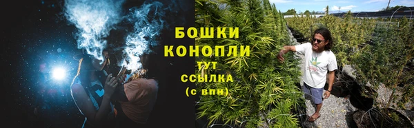 дживик Верея