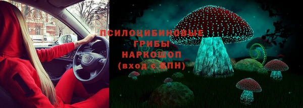 герыч Верхний Тагил