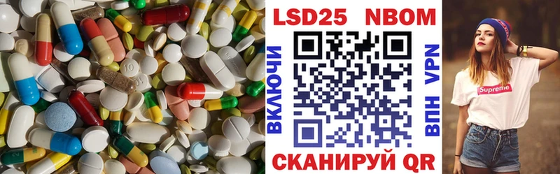 блэк спрут маркетплейс  Новоржев  LSD-25 экстази кислота 