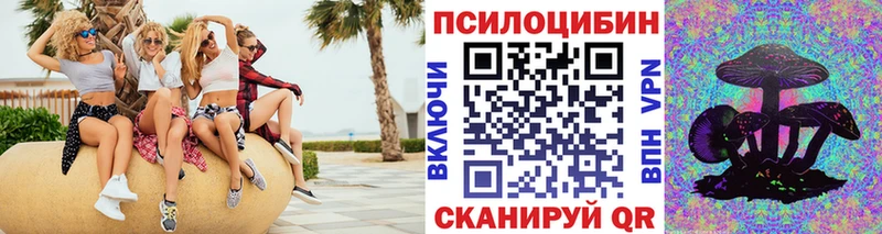 кракен tor  Новоржев  Галлюциногенные грибы мухоморы 